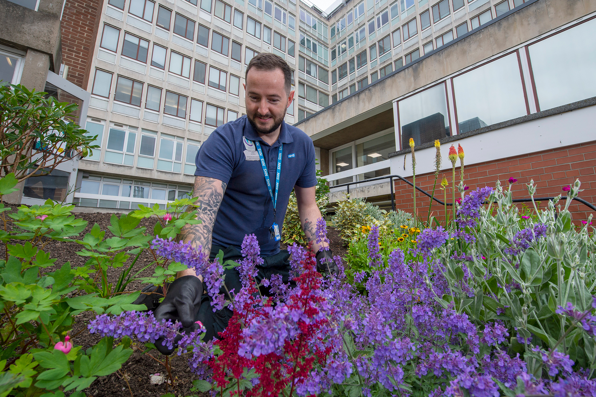 Male staff member gardening at a hospital site.